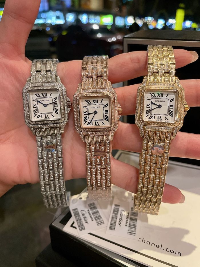 Cartier Watch CTW00119-1