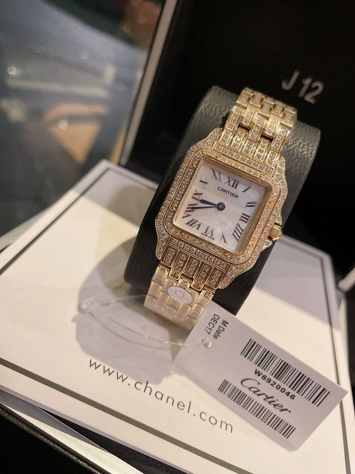 Cartier Watch CTW00120-2