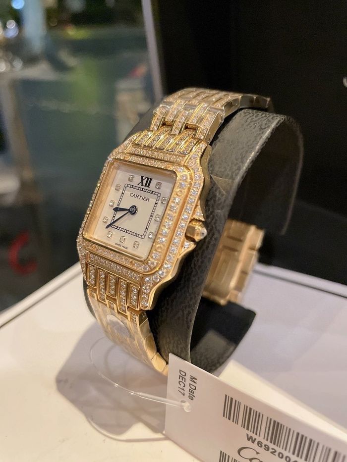 Cartier Watch CTW00121-2