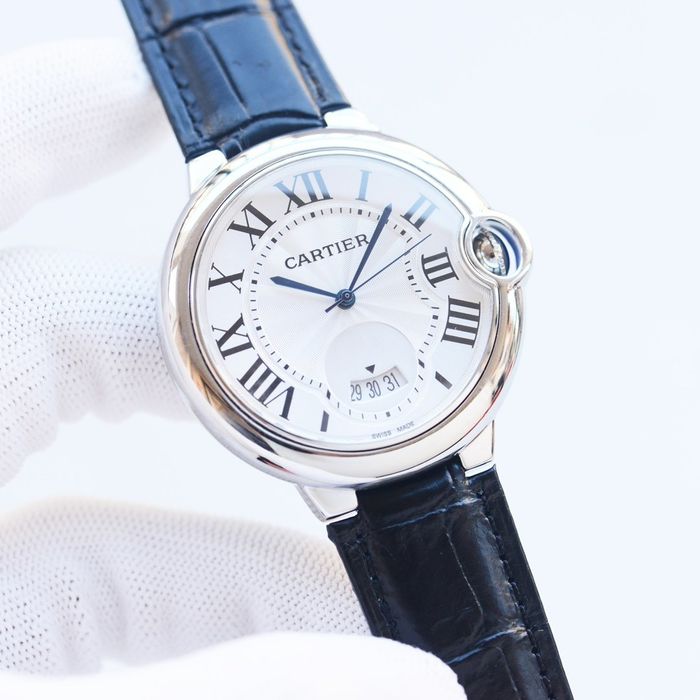 Cartier Watch CTW00128-3