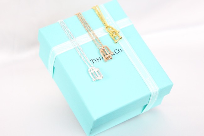 TIFFANY Necklace CE8300