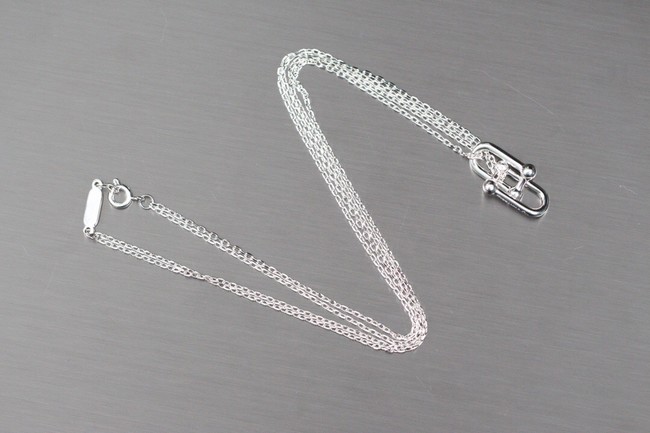 TIFFANY Necklace CE8300