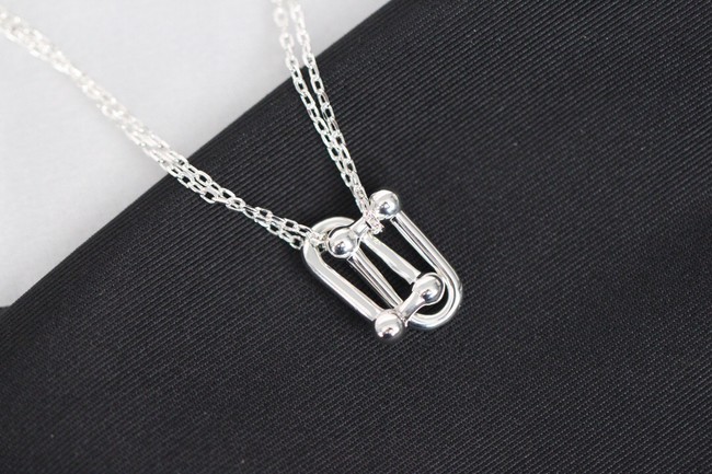 TIFFANY Necklace CE8300