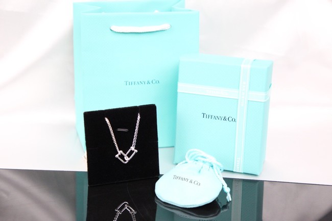 TIFFANY Necklace CE8300