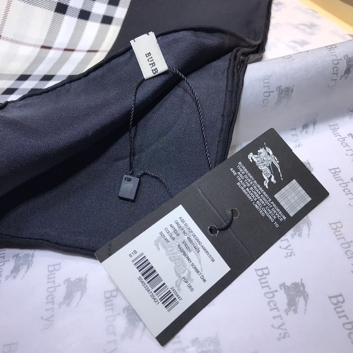 Burberry Scarf BBS00019