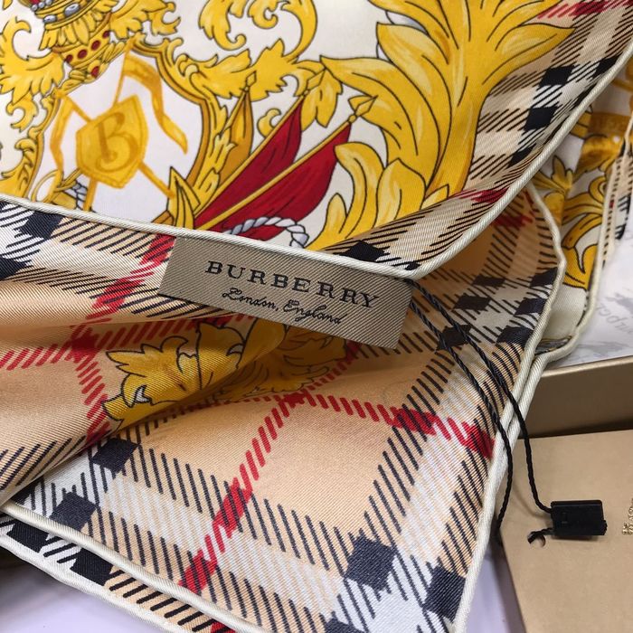 Burberry Scarf BBS00021