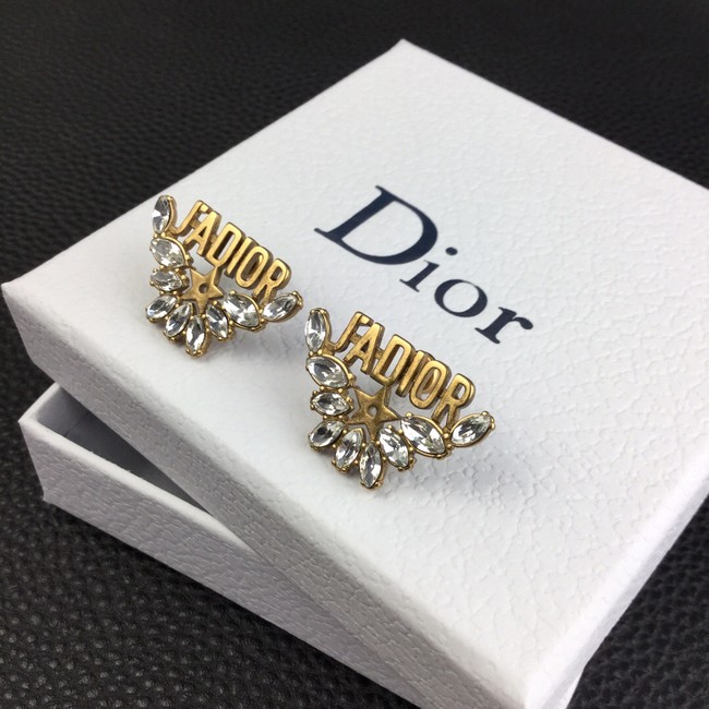 Dior Earrings CE8363