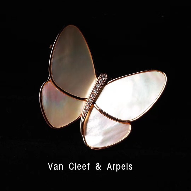 Van Cleef & Arpels Brooch CE8410