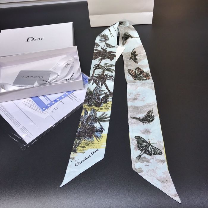 Dior Scarf DIS00002