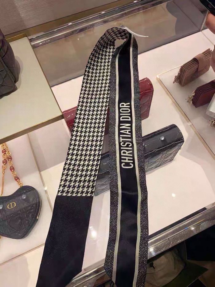 Dior Scarf DIS00009