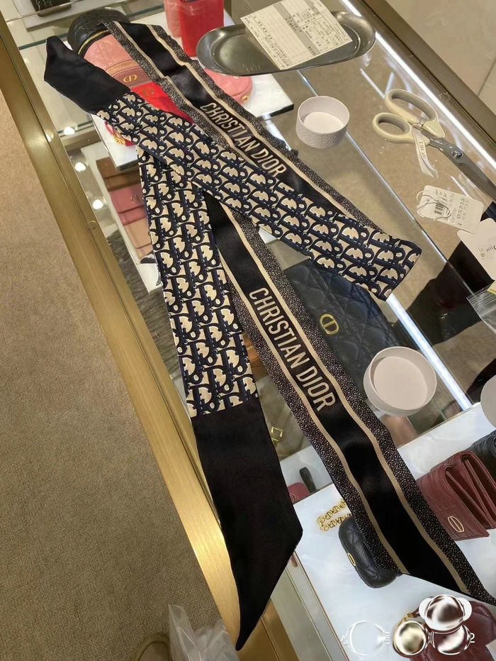 Dior Scarf DIS00014