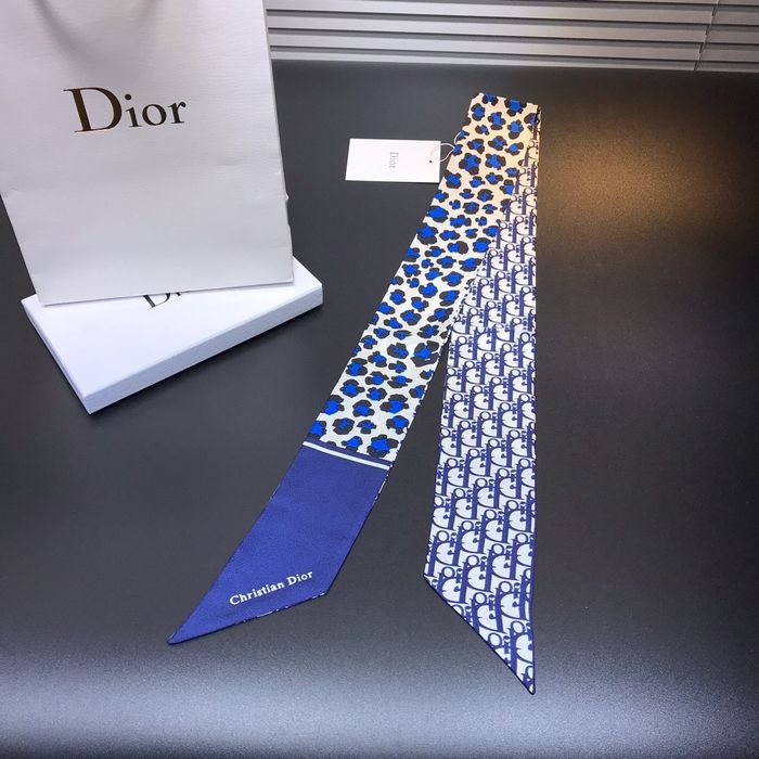 Dior Scarf DIS00015