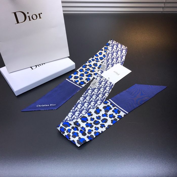 Dior Scarf DIS00015