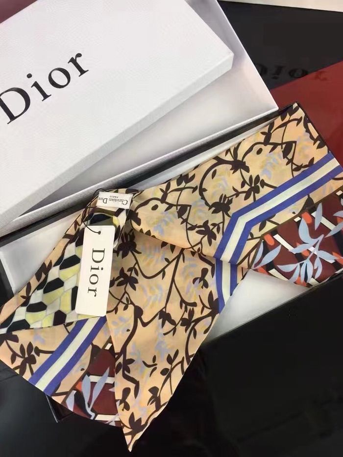 Dior Scarf DIS00017