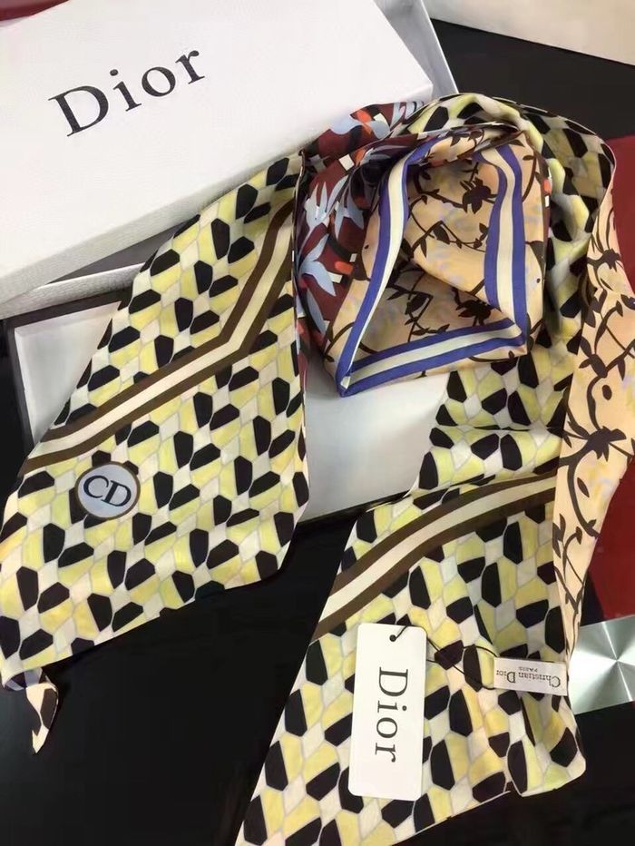 Dior Scarf DIS00017