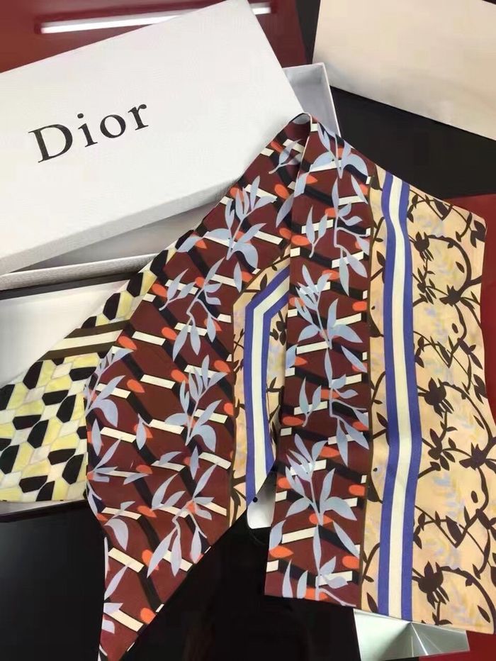 Dior Scarf DIS00017