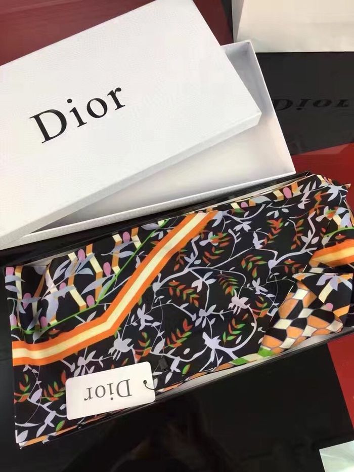 Dior Scarf DIS00018