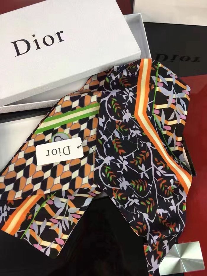 Dior Scarf DIS00018