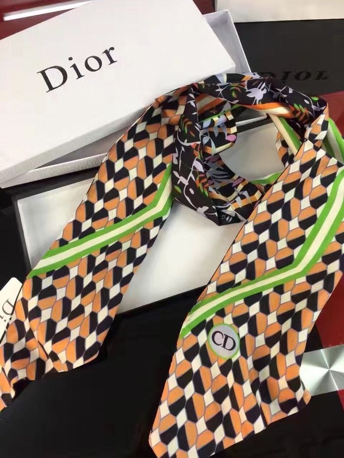 Dior Scarf DIS00018