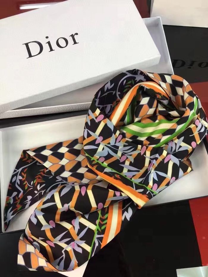 Dior Scarf DIS00018