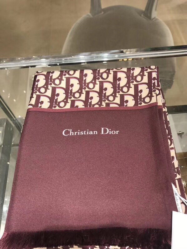 Dior Scarf DIS00019