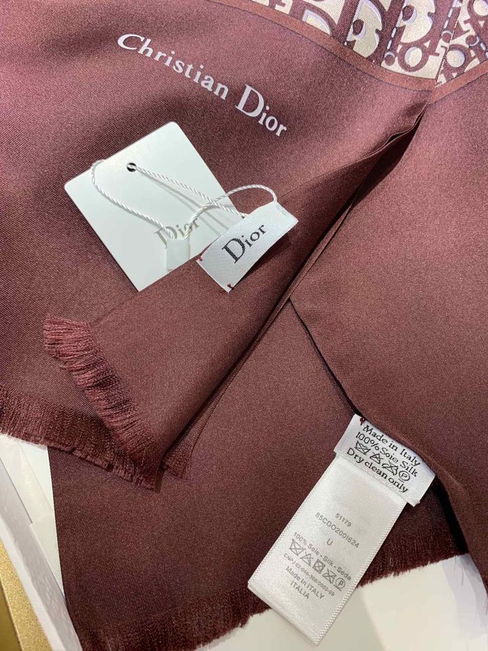 Dior Scarf DIS00019