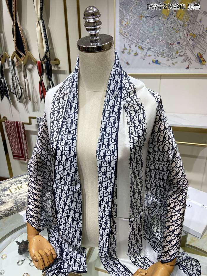 Dior Scarf DIS00022