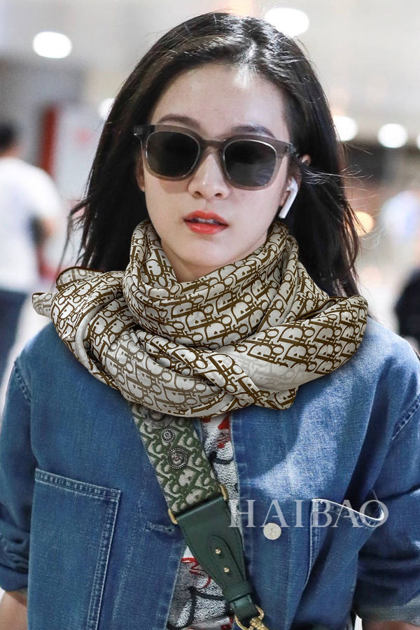 Dior Scarf DIS00023