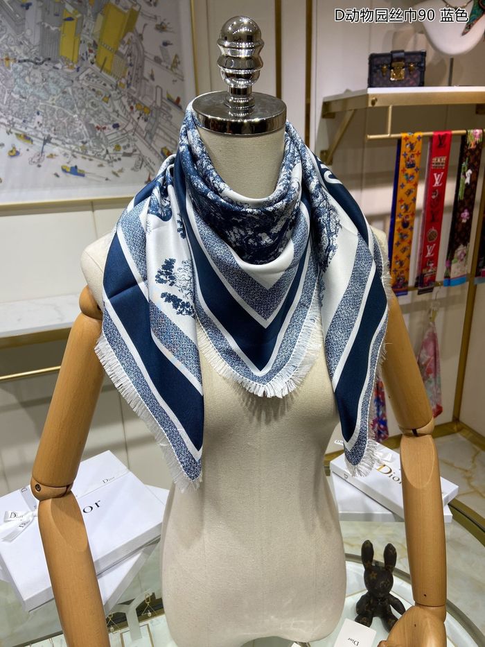 Dior Scarf DIS00024