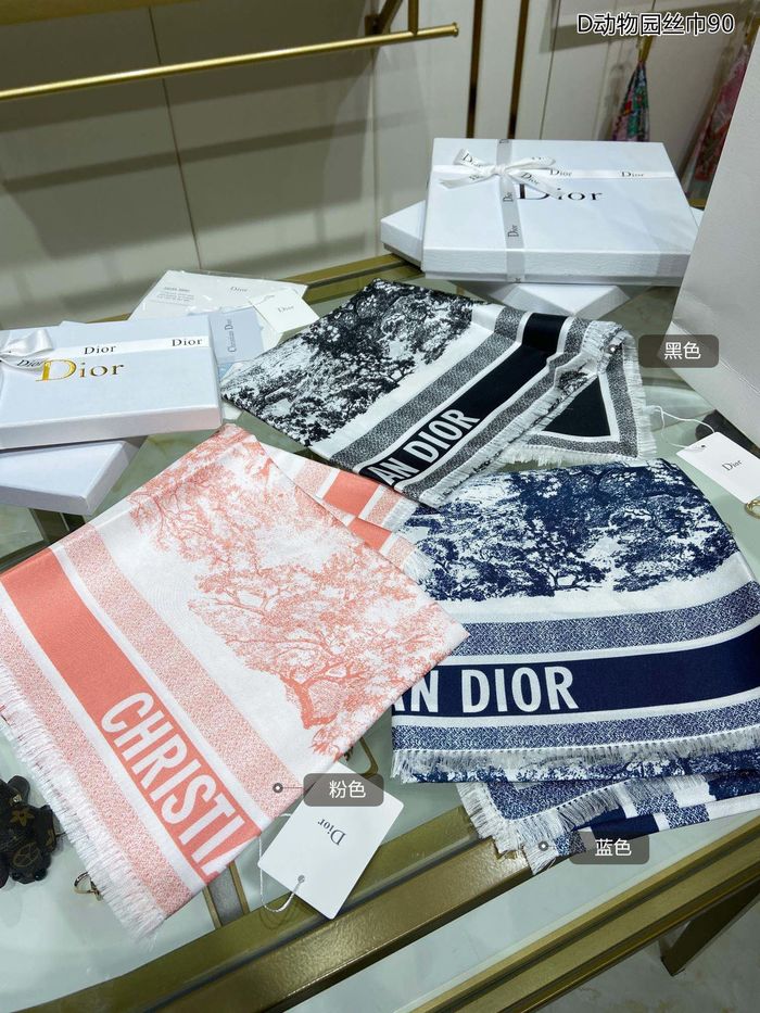 Dior Scarf DIS00025