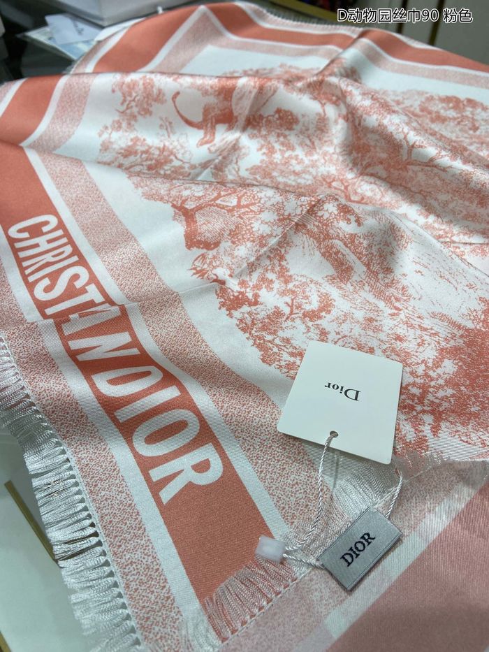 Dior Scarf DIS00025