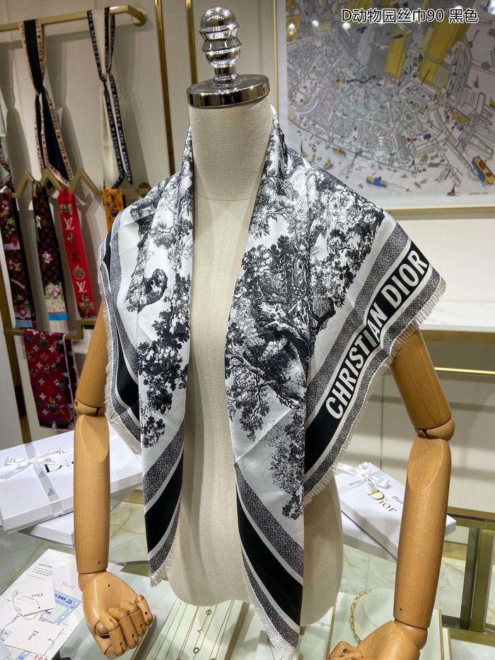 Dior Scarf DIS00026