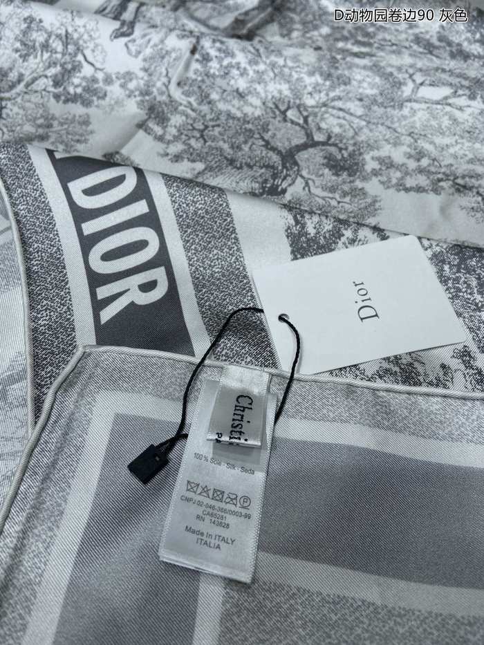 Dior Scarf DIS00029