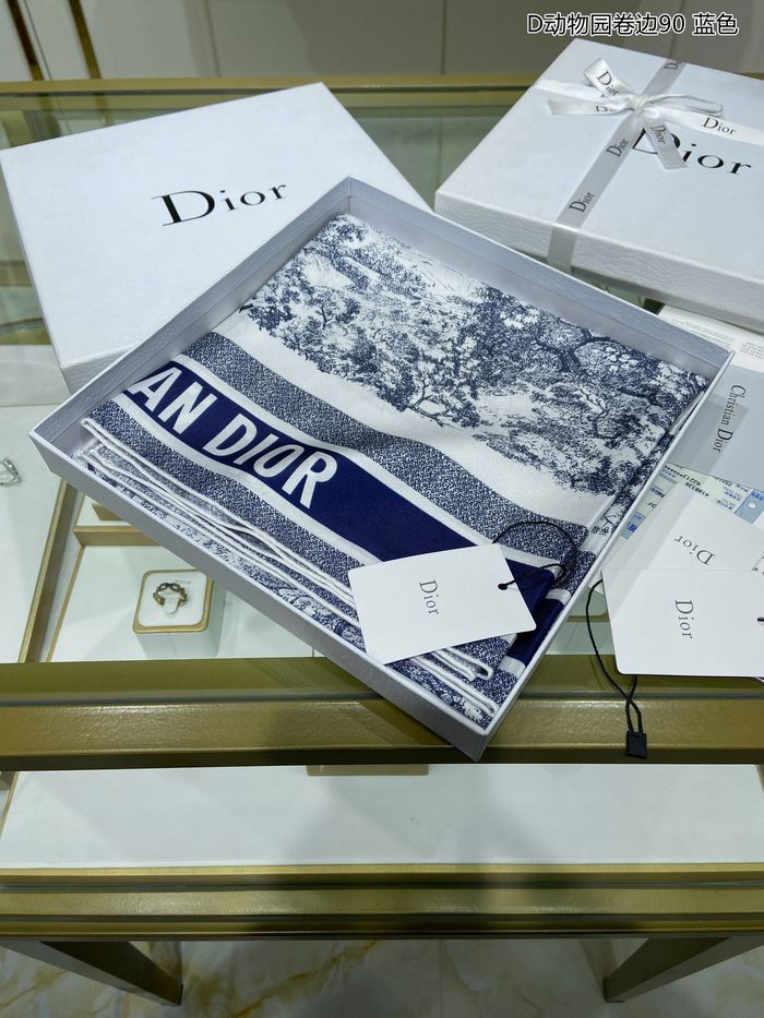 Dior Scarf DIS00031