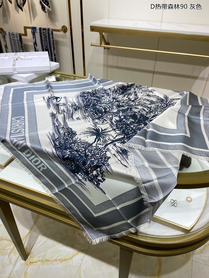 Dior Scarf DIS00035