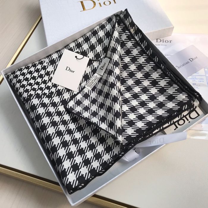 Dior Scarf DIS00036