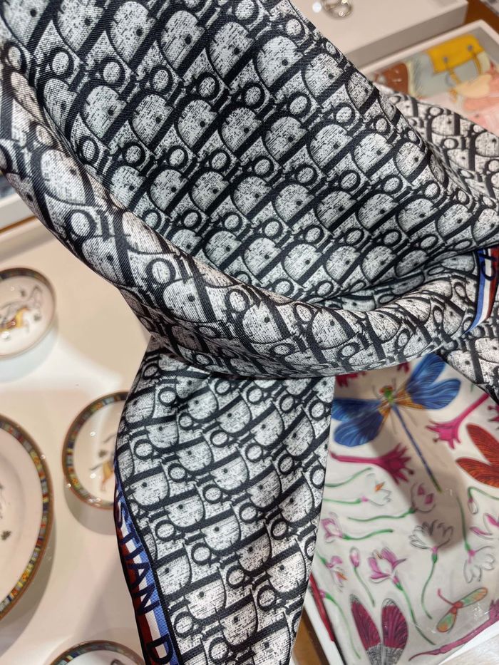 Dior Scarf DIS00038