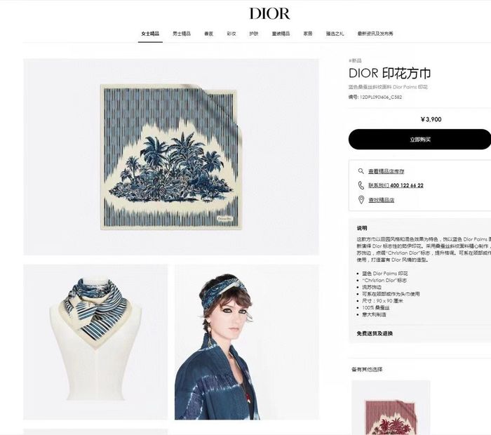 Dior Scarf DIS00040