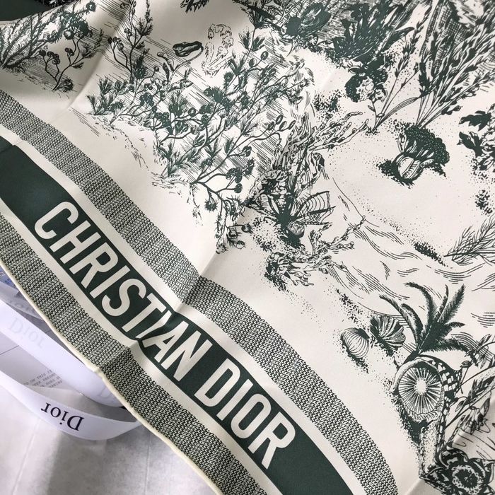 Dior Scarf DIS00043