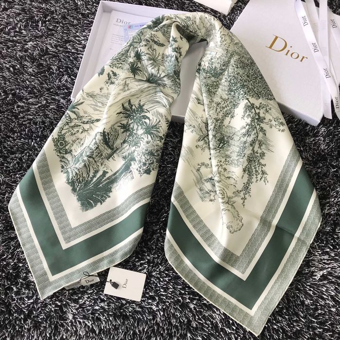 Dior Scarf DIS00043