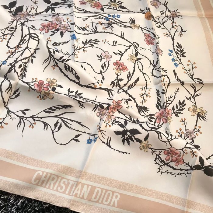 Dior Scarf DIS00044