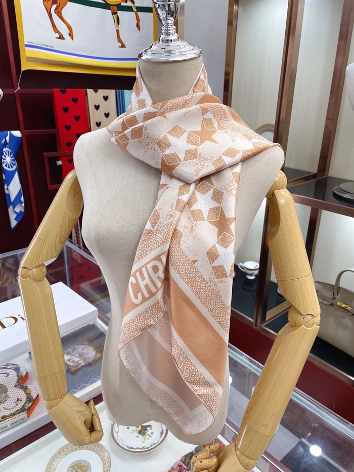 Dior Scarf DIS00046