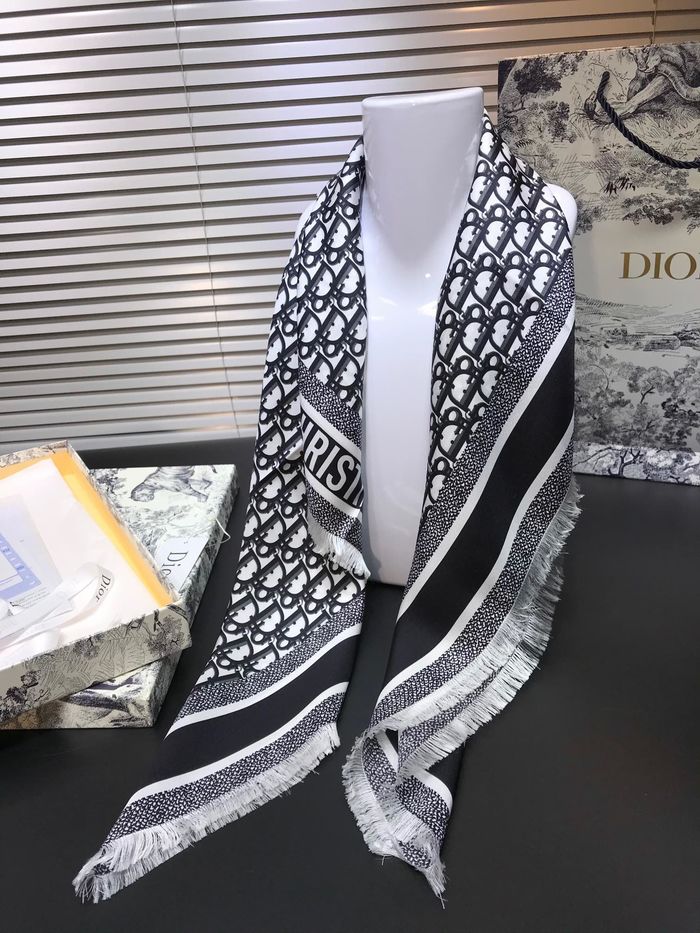 Dior Scarf DIS00053