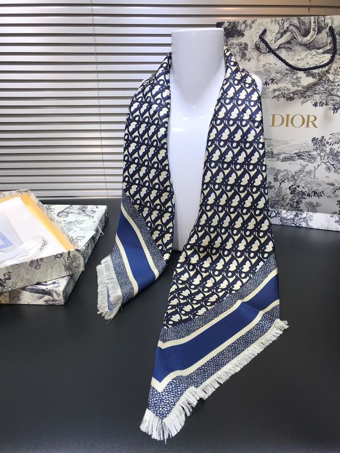 Dior Scarf DIS00054