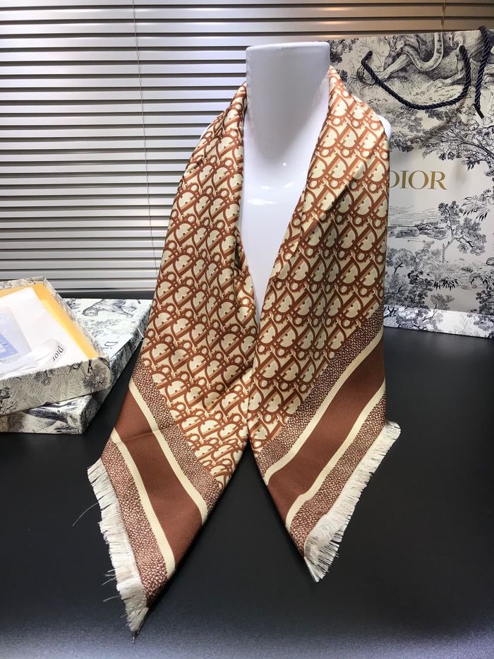 Dior Scarf DIS00055