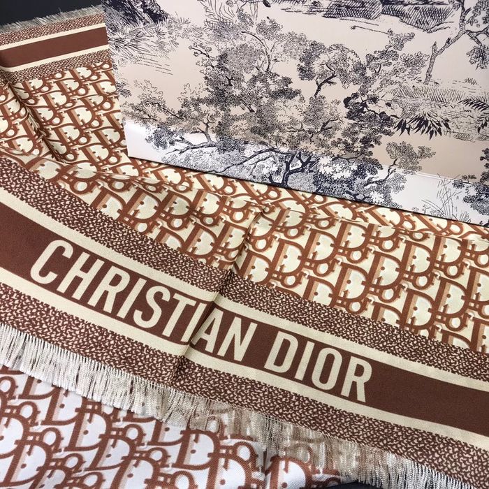 Dior Scarf DIS00055