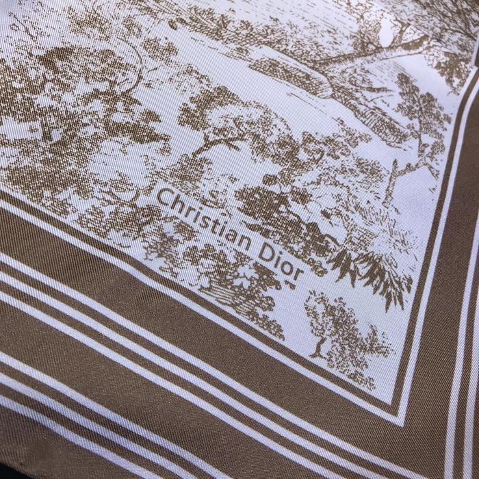 Dior Scarf DIS00057