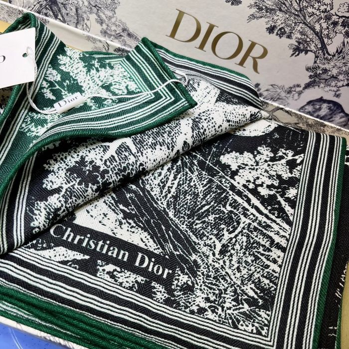 Dior Scarf DIS00071