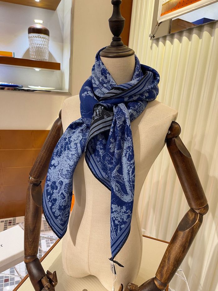 Dior Scarf DIS00072