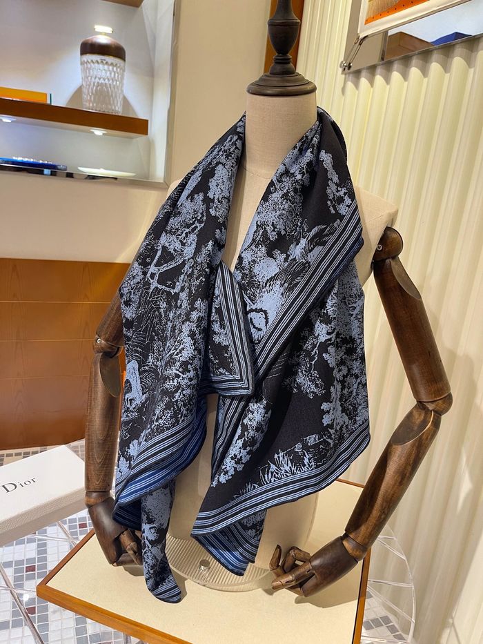 Dior Scarf DIS00072